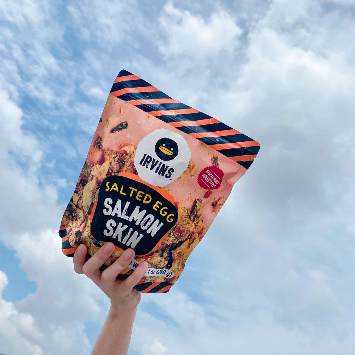 Wondrous World of Salmon Skin