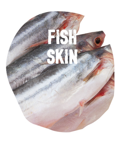 Ingredients: fish_skin