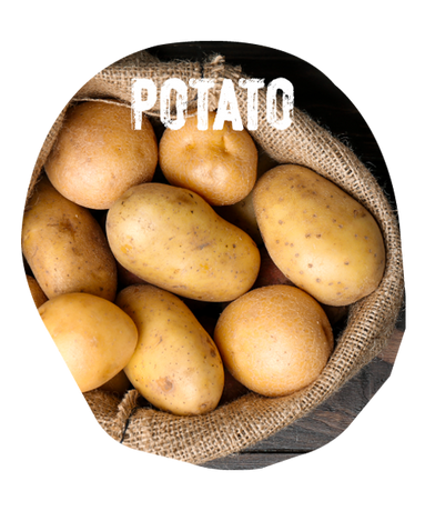 Ingredients: Potato