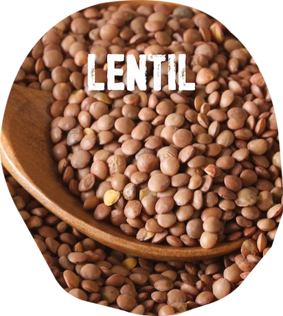 Ingredients: lentil