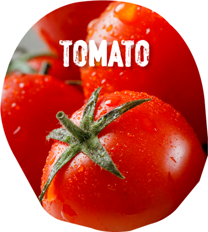 Ingredients: Tomato